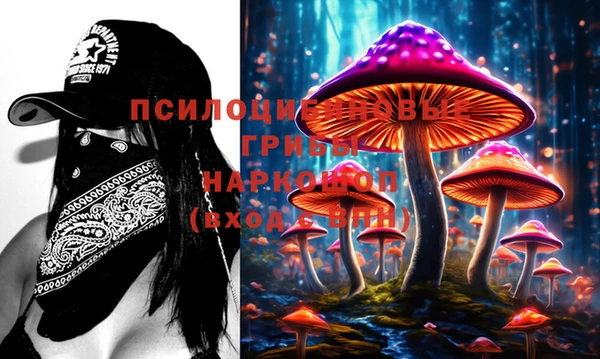 гашик Воткинск