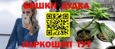 PSILOCYBIN Балаково