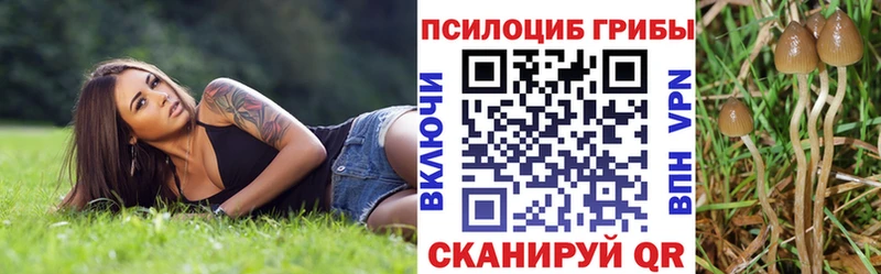 Псилоцибиновые грибы ЛСД  Большой Камень 