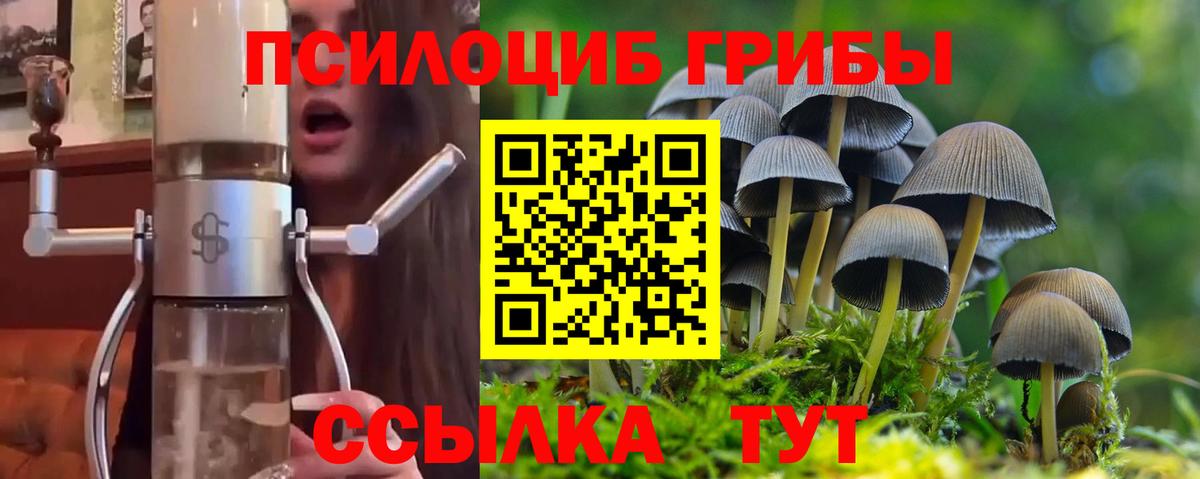 Большой Камень  Псилоцибиновые грибы прущие грибы  Вход с VPN 